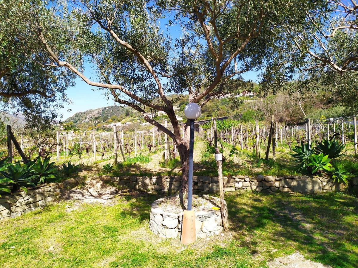 Il Vigneto "Cottage" Gaggi Exterior photo